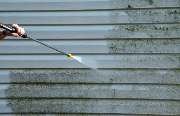 Attic Mold Removal in Vinings, GA