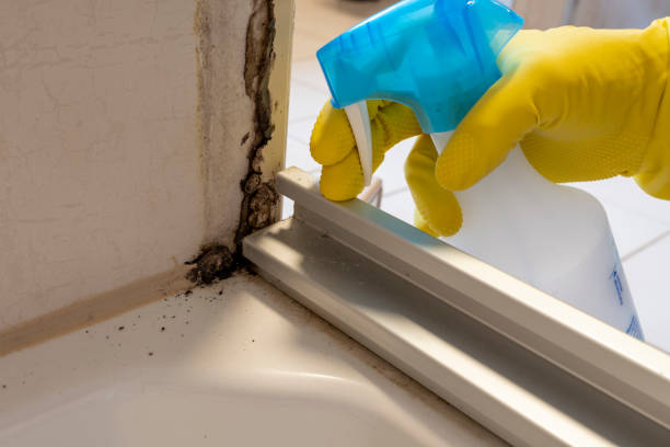 Best Residential Mold Removal  in Vinings, GA