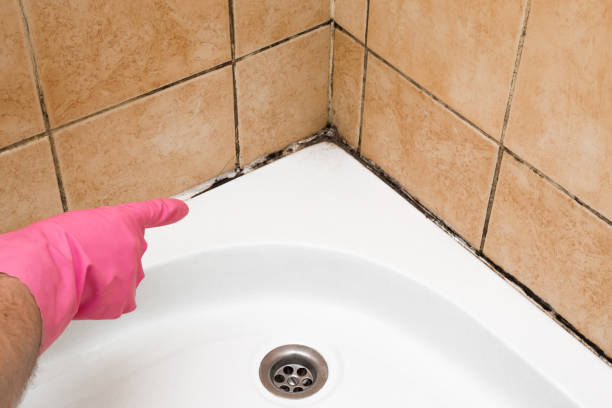 Home Mold Removal in Vinings, GA
